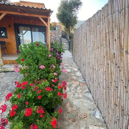 Suzi's Tiny Nyaraló