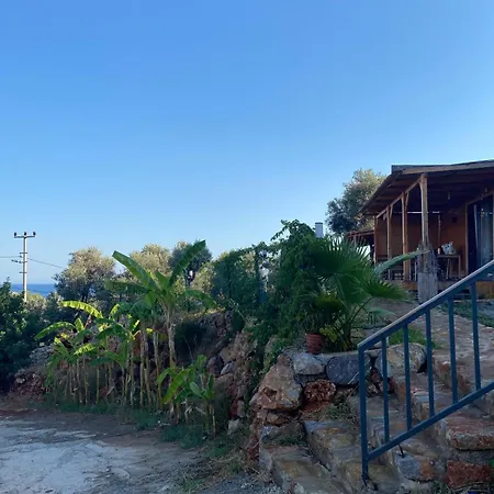 Casa de Férias Suzi's Tiny *